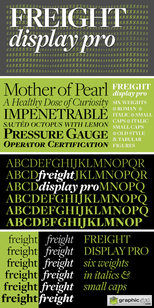 Freight Display Pro Font Family
