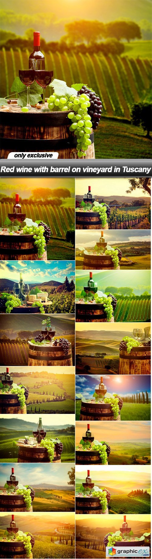 Red wine with barrel on vineyard in Tuscany - 15 UHQ JPEG