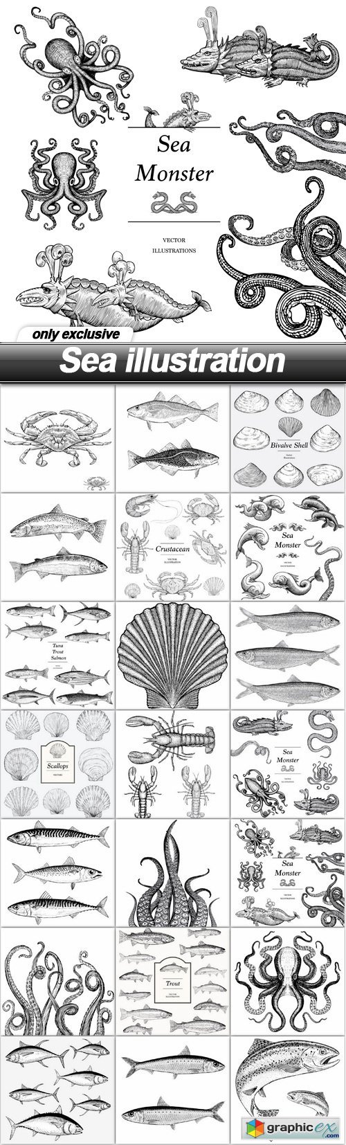 Sea illustration - 21 EPS