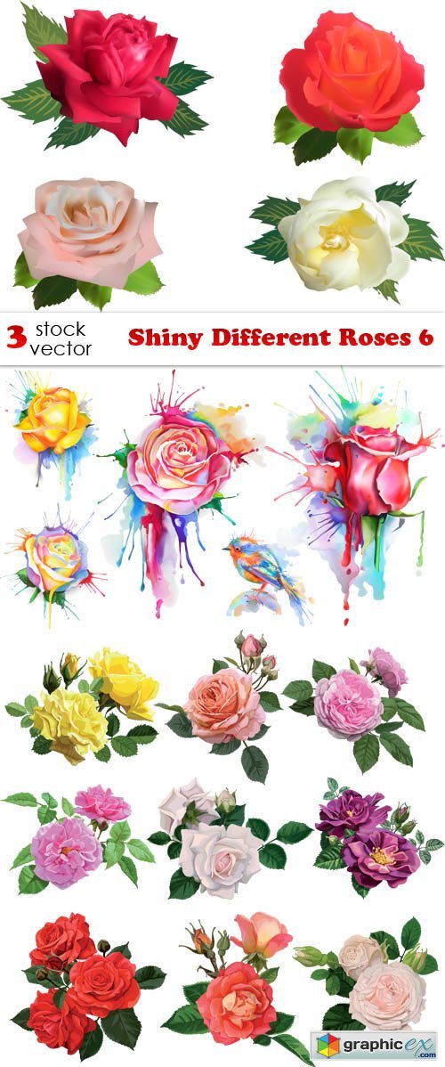 Shiny Different Roses 6