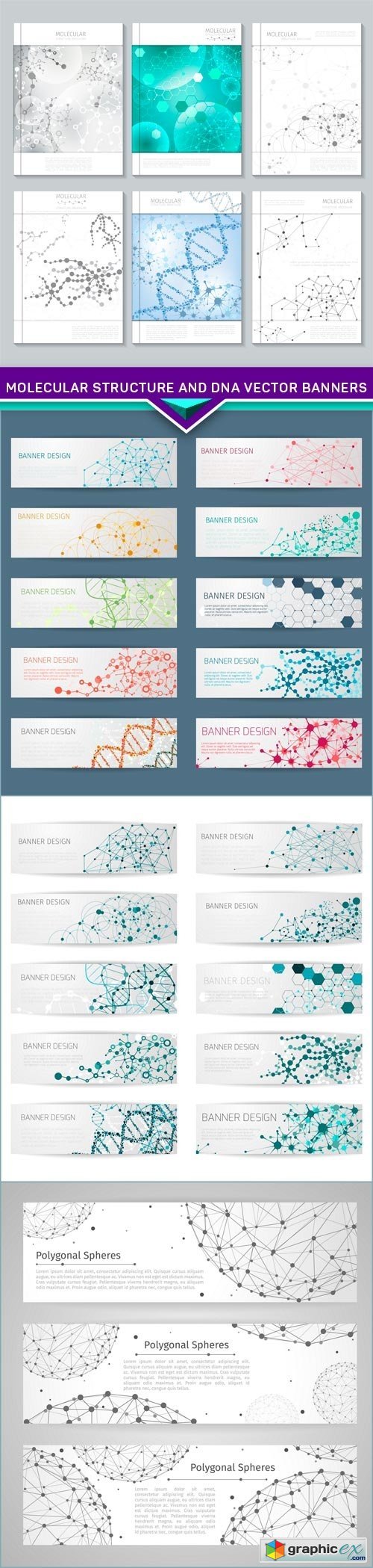 Molecular structure and DNA vector banners 4X EPS