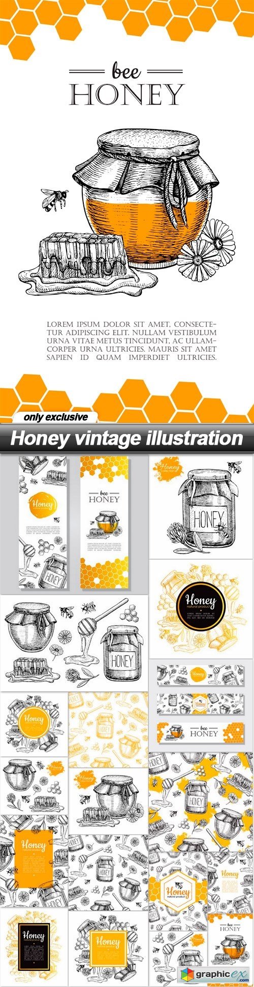 Honey vintage illustration - 18 EPS