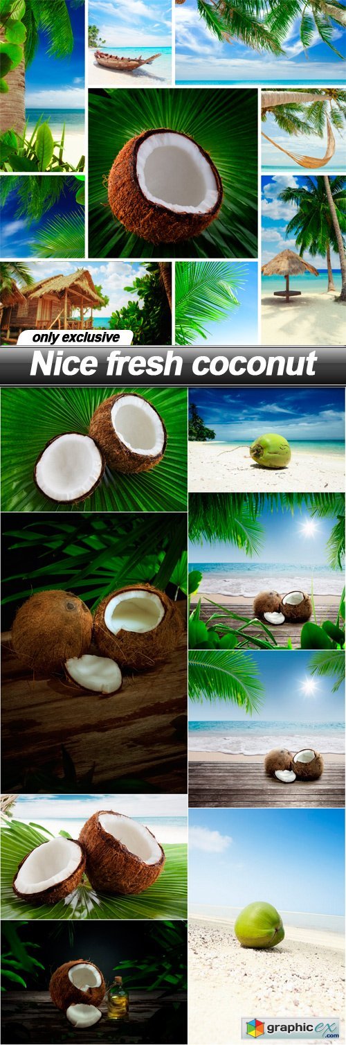 Nice fresh coconut - 9 UHQ JPEG
