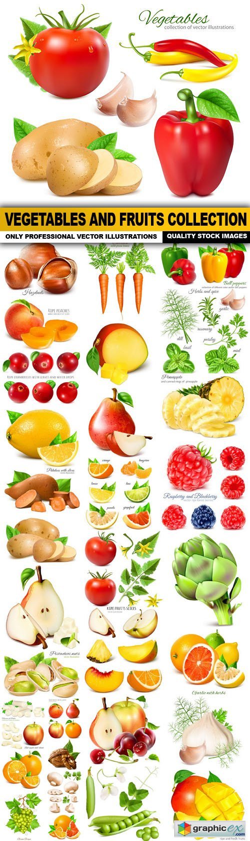Vegetables And Fruits Collection