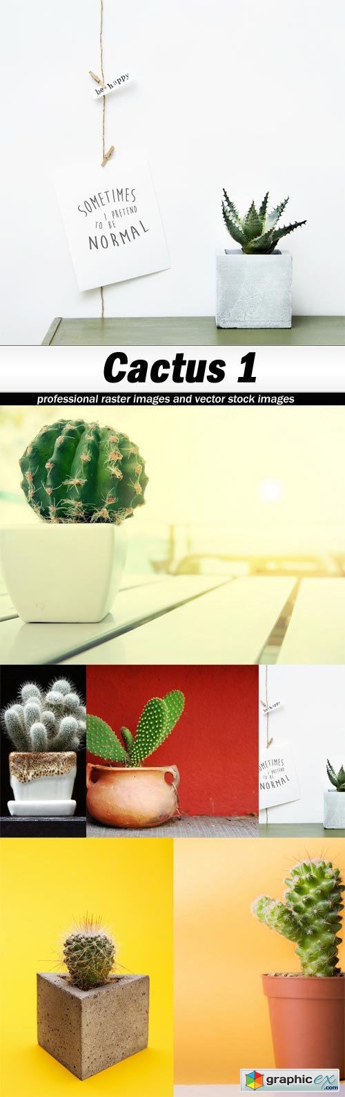 Cactus 1 - 6 UHQ JPEG