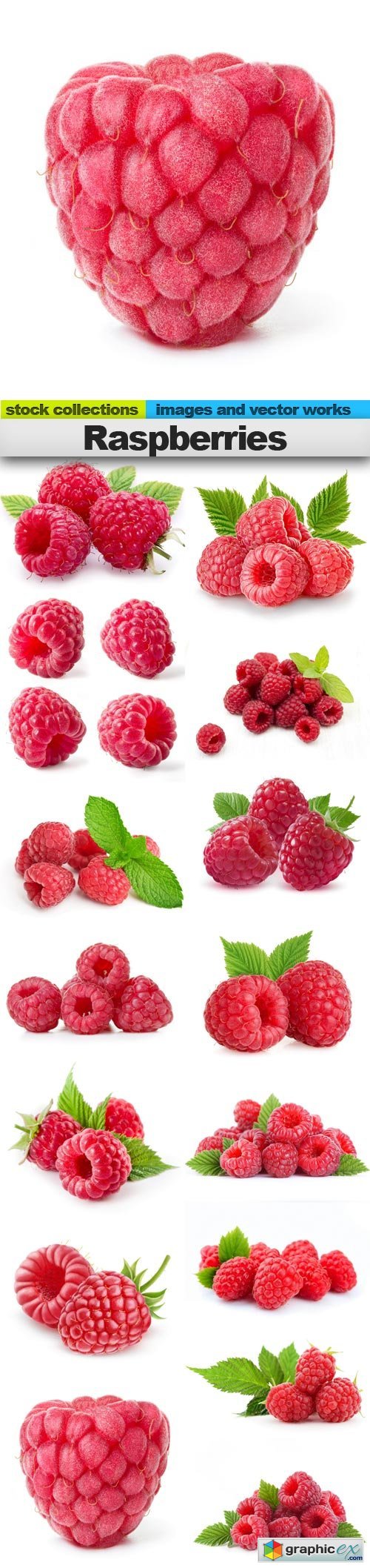 Raspberries, 15 x UHQ JPEG