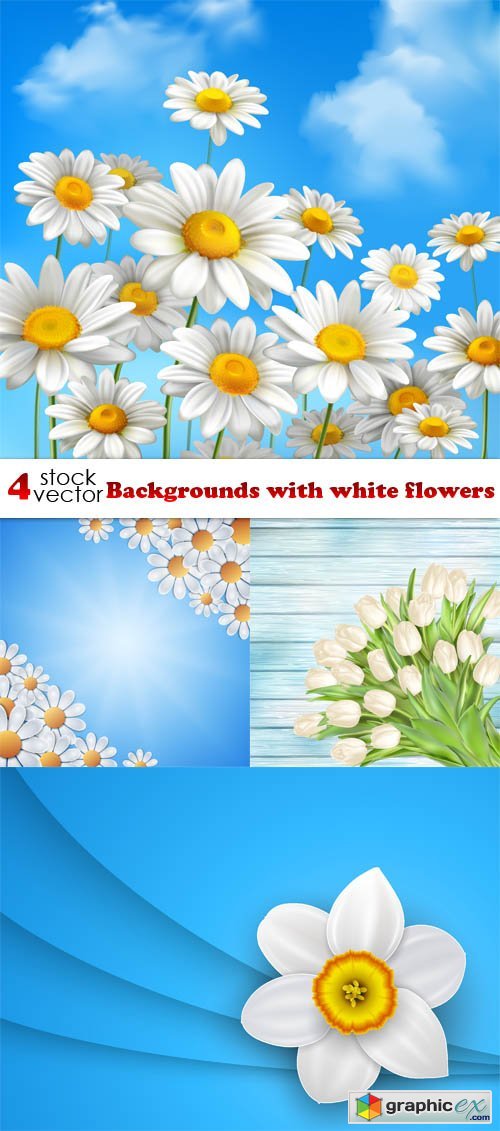 Backgrounds with white flowers