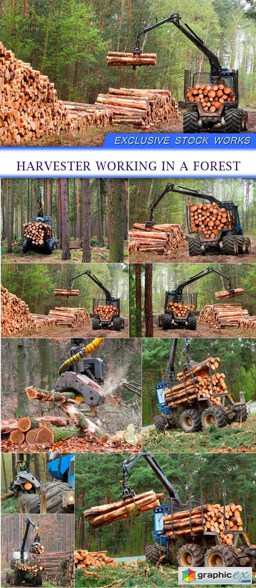 harvester working in a forest 9X JPEG