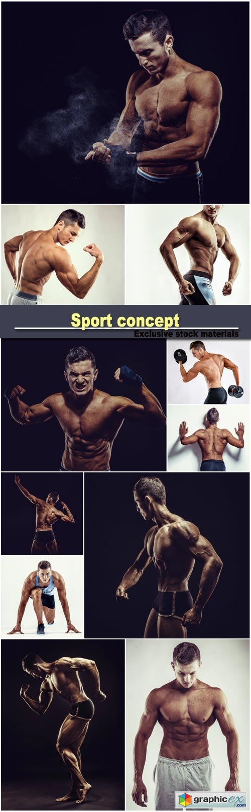 Sport concept, bodybuilder man posing, shoulders, biceps, triceps