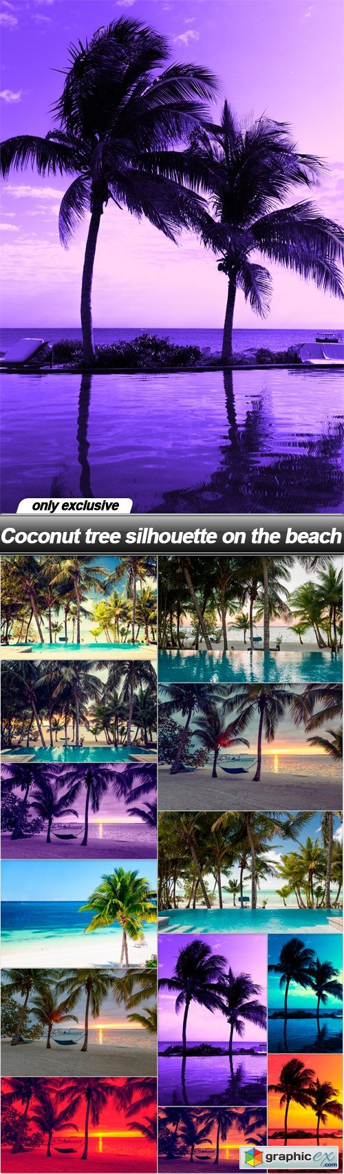 Coconut tree silhouette on the beach - 13 UHQ JPEG