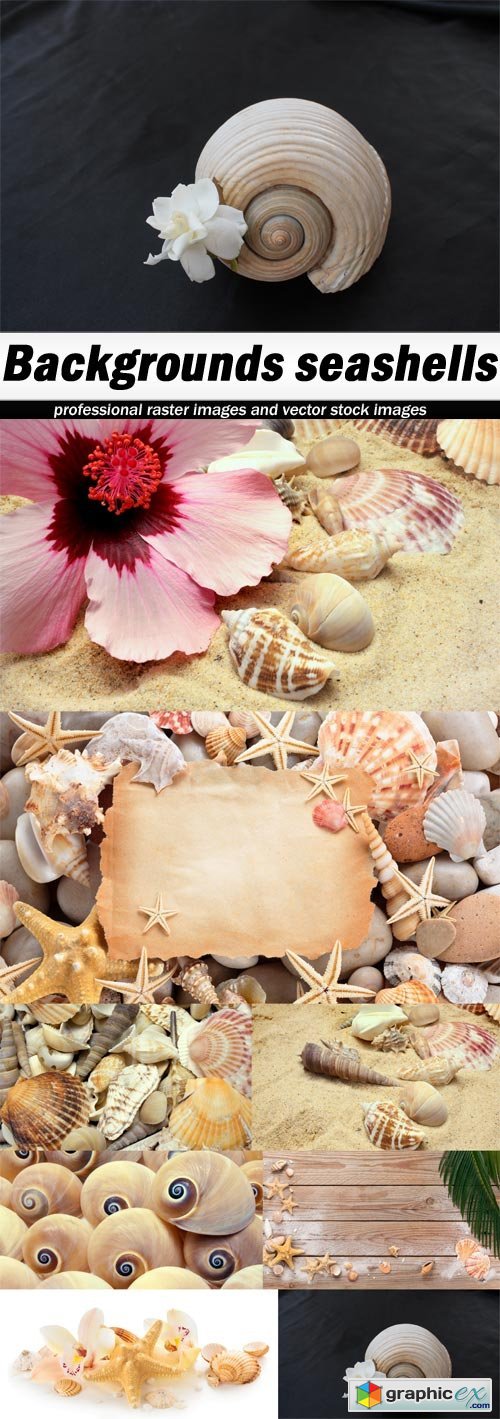 Backgrounds seashells - 8 UHQ JPEG