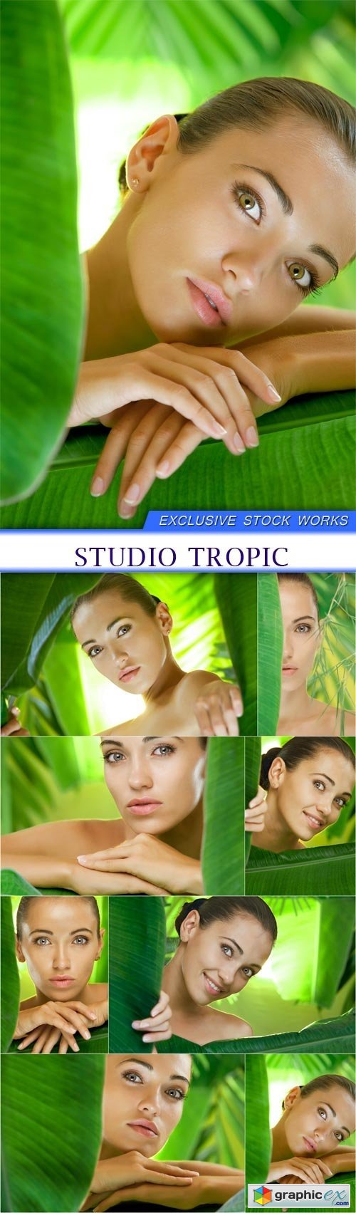 studio tropic 8X JPEG