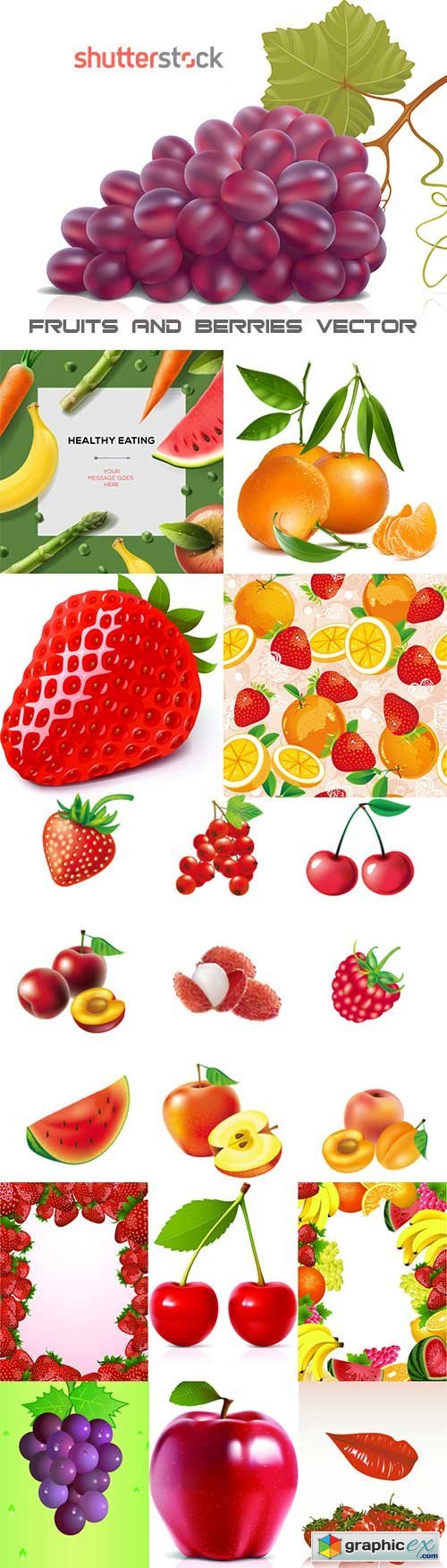Fruits and berries vector