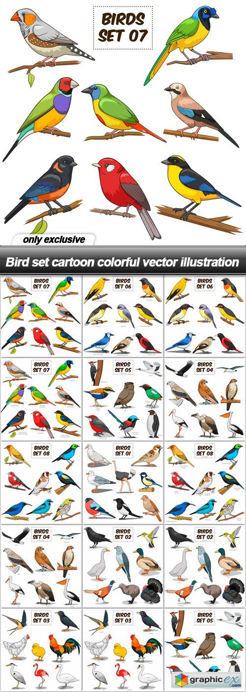 Bird set cartoon colorful vector illustration - 15 EPS