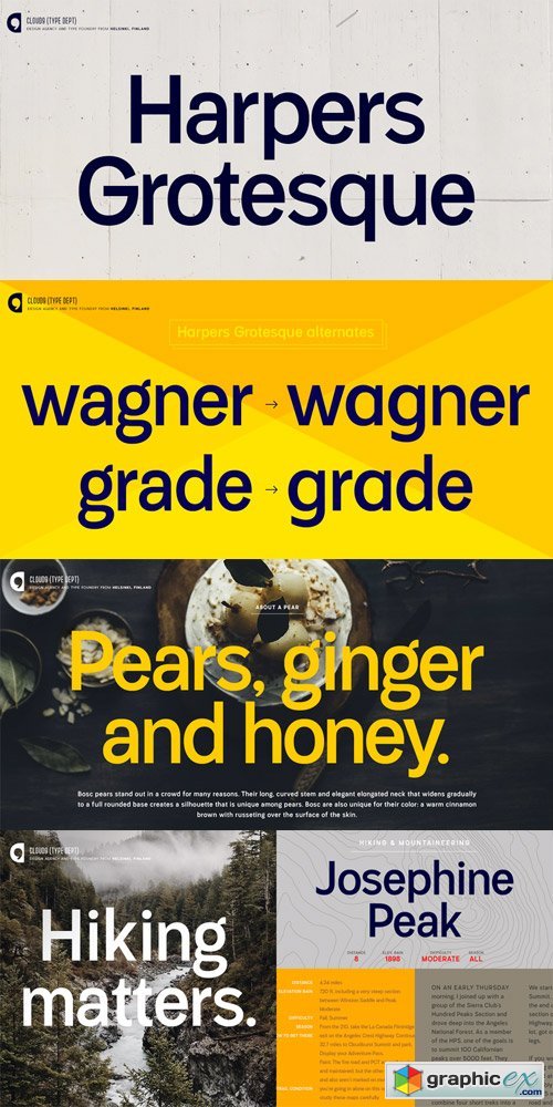 Harpers Grotesque Font Family