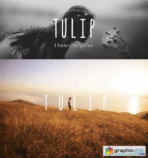 Tulip Font