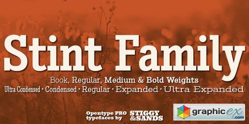 Stint Pro Font Family - 20 Fonts