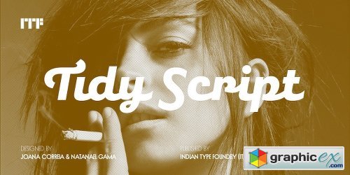 Tidy Script Font Family - 4 Fonts
