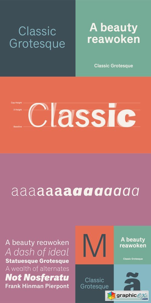 Classic Grotesque Font Family