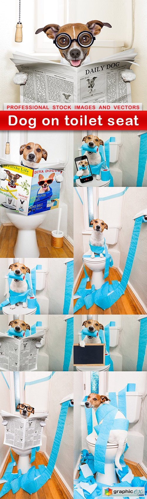 Dog on toilet seat - 9 UHQ JPEG