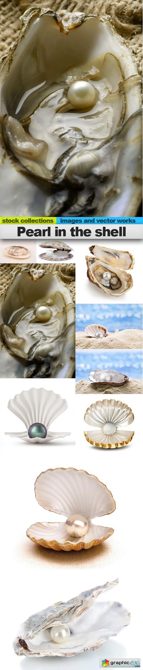 Pearl in the shell, 10 x UHQ JPEG