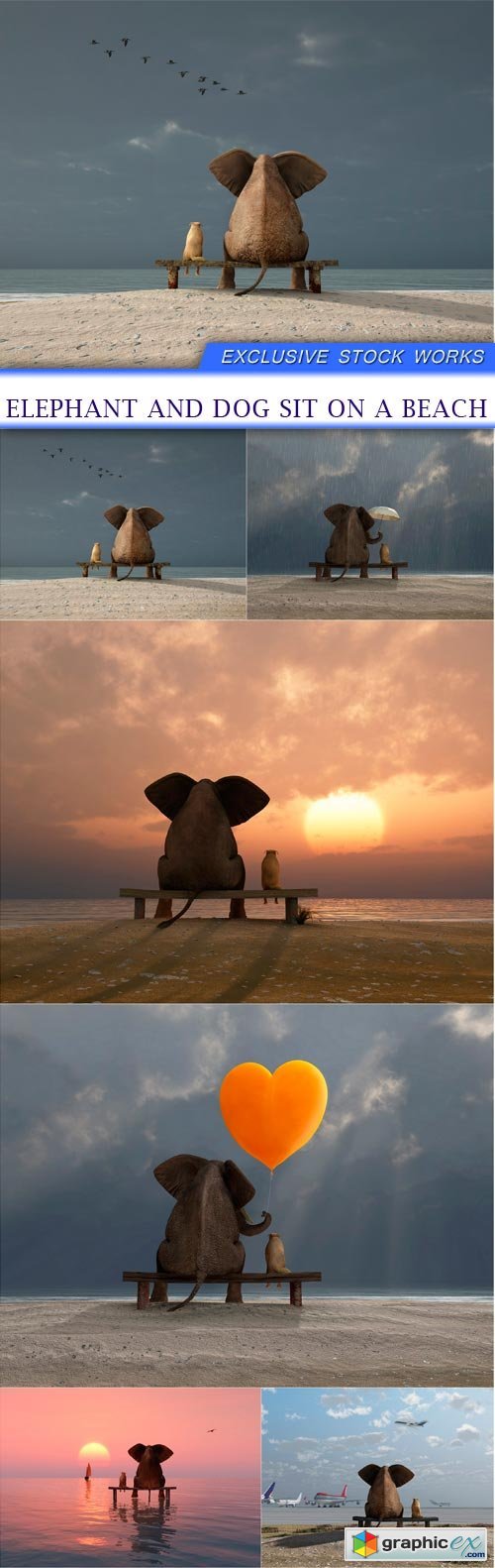 elephant and dog sit on a beach 6X JPEG