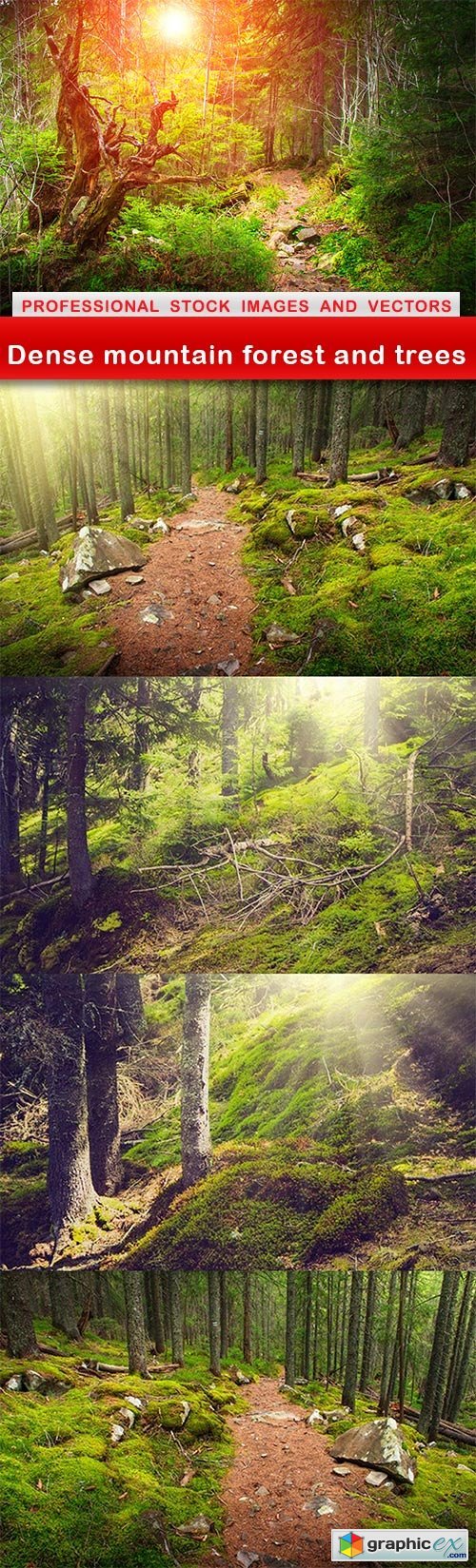 Dense mountain forest and trees - 5 UHQ JPEG