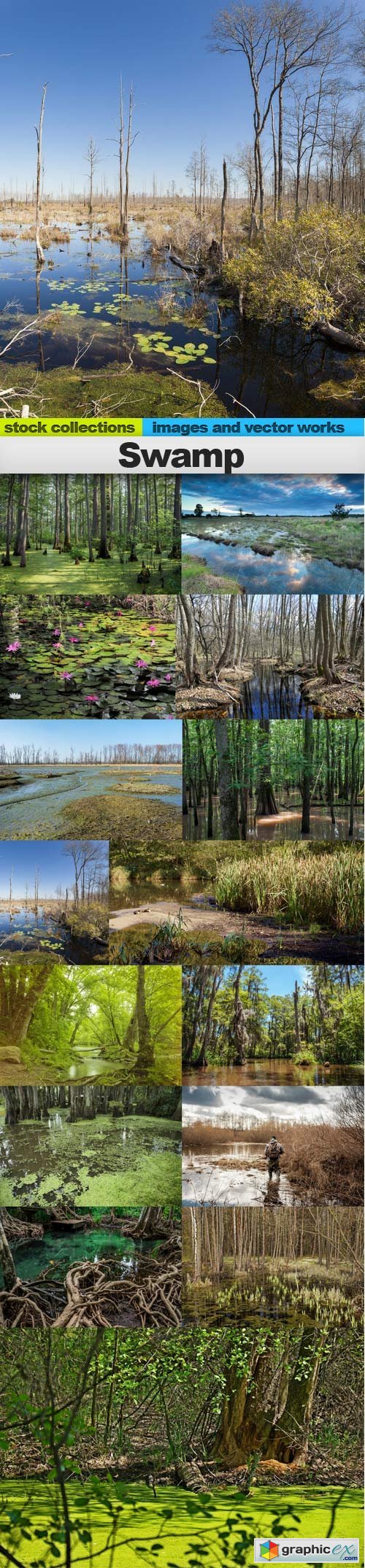 Swamp, 15 x UHQ JPEG