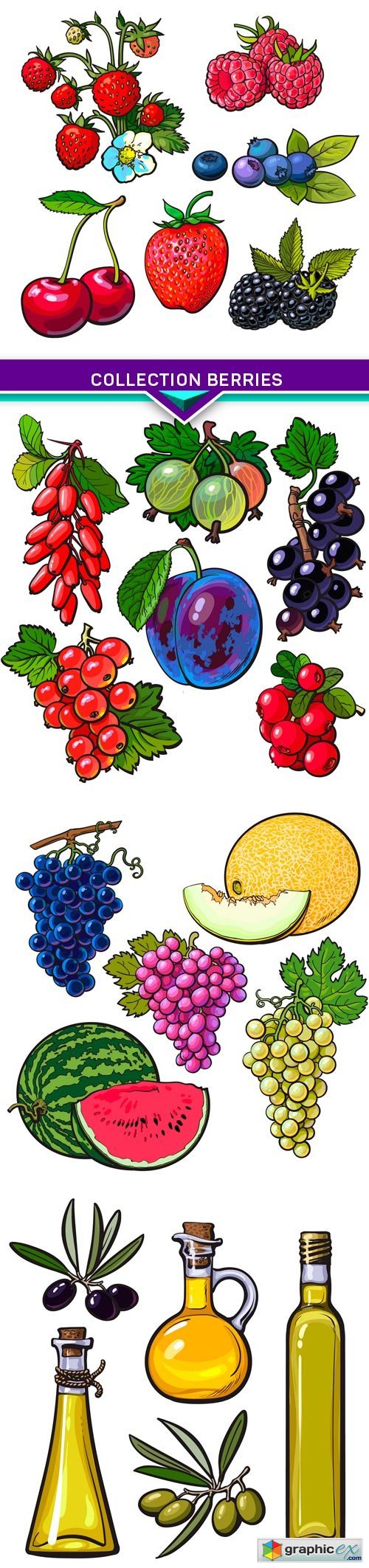 Collection berries, vector illustration isolated on white background 4X EPS