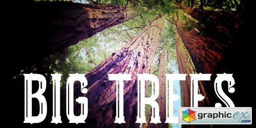 Big Trees Font - 2 Fonts