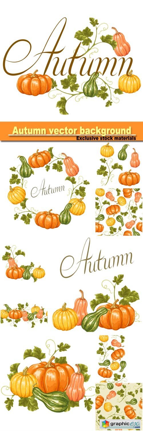 Autumn background with pumpkins, decorative illustration from vegetables and leaves