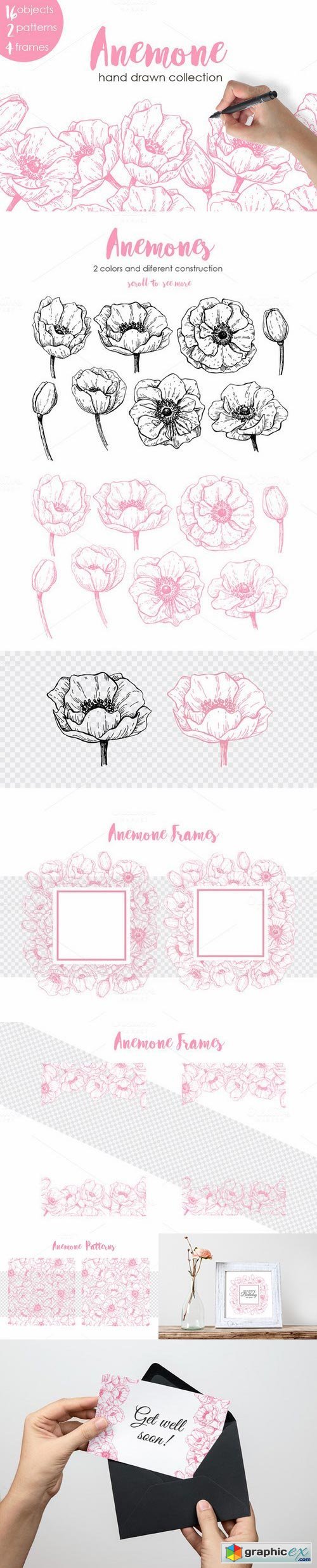 Anemone. Hand Drawn Flower Set 708710