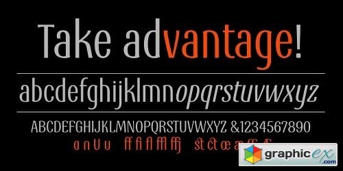 Vantage Font Family - 2 Fonts