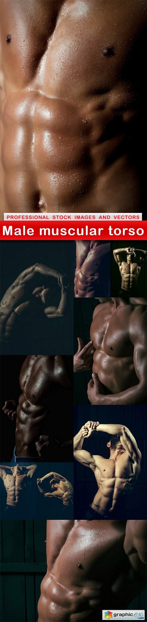 Male muscular torso - 10 UHQ JPEG