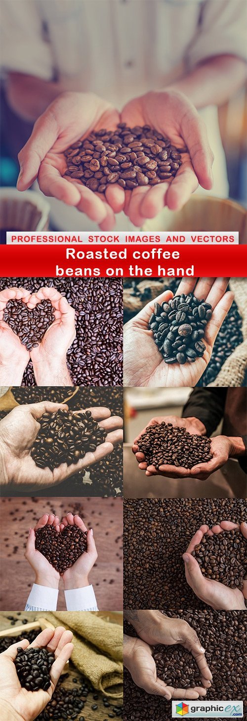 Roasted coffee beans on the hand - 9 UHQ JPEG