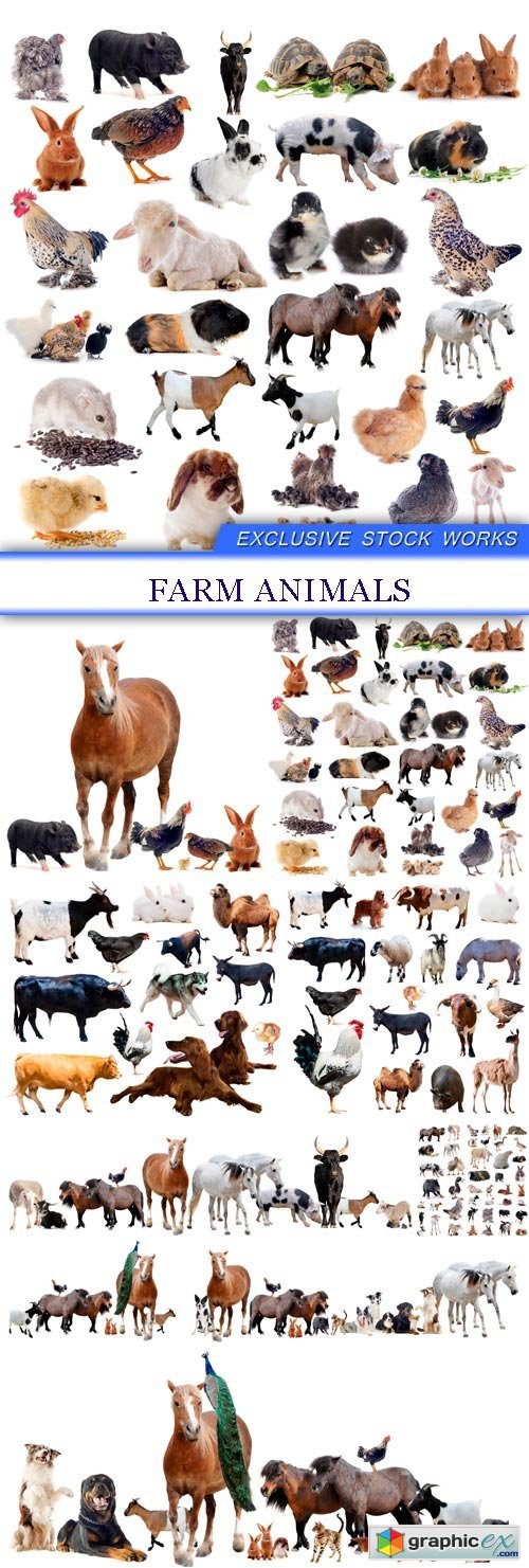 farm animals 9X JPEG