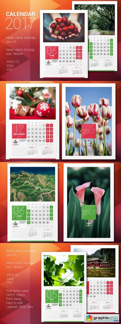 Wall Calendar 2017 840195