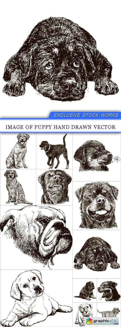 Image of puppy hand drawn vector 13X EPS