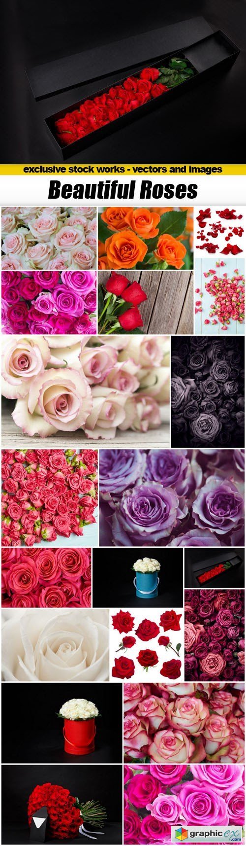 Beautiful Roses - 20xUHQ JPEG