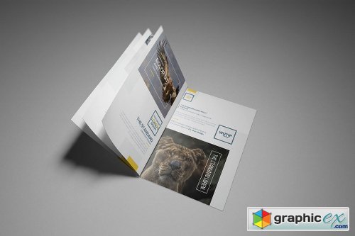 A4/A5 Brochure-Booklet Mockups