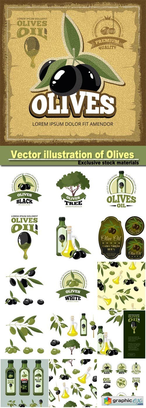 illustration of Olives, tree, oil botles and leaf isolated on light background