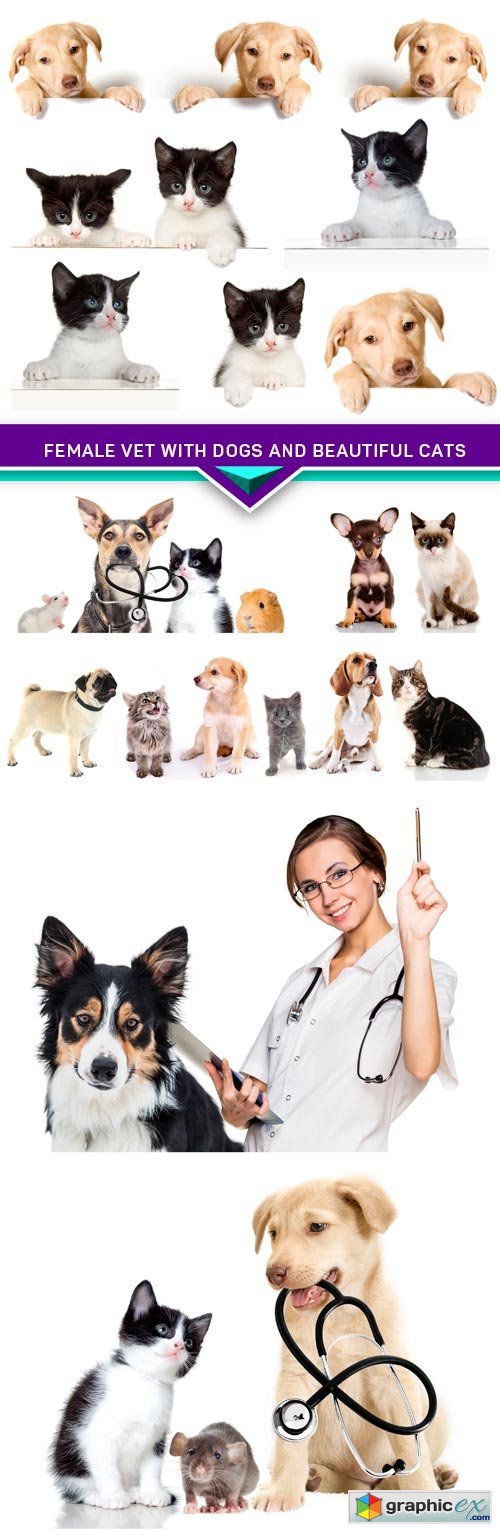 Female vet with dogs and beautiful cats 6X JPEG