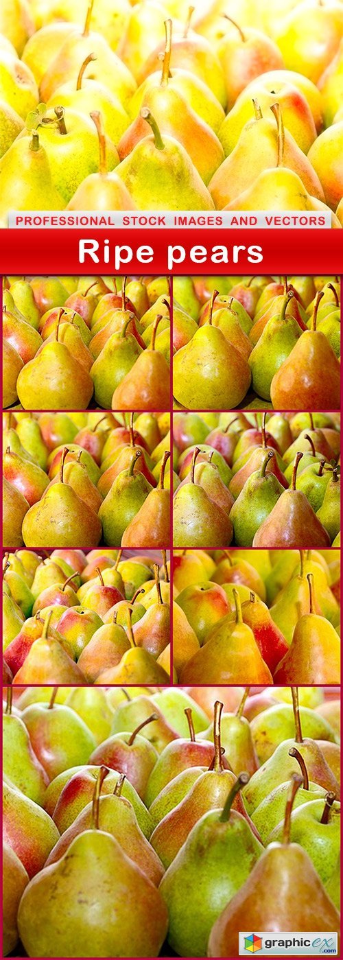 Ripe pears - 8 UHQ JPEG
