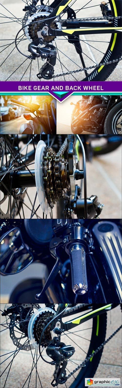 Bike gear and back wheel 6X JPEG