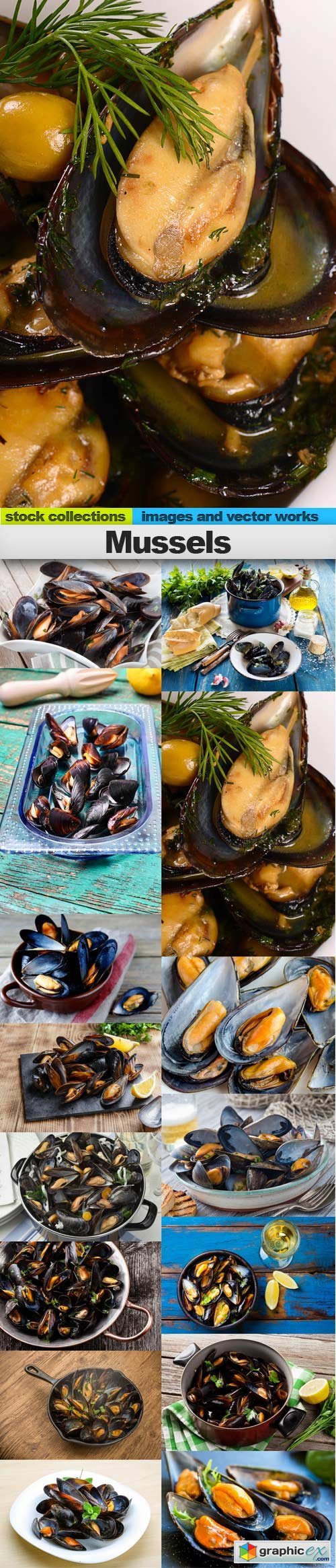 Mussels, 15 x UHQ JPEG