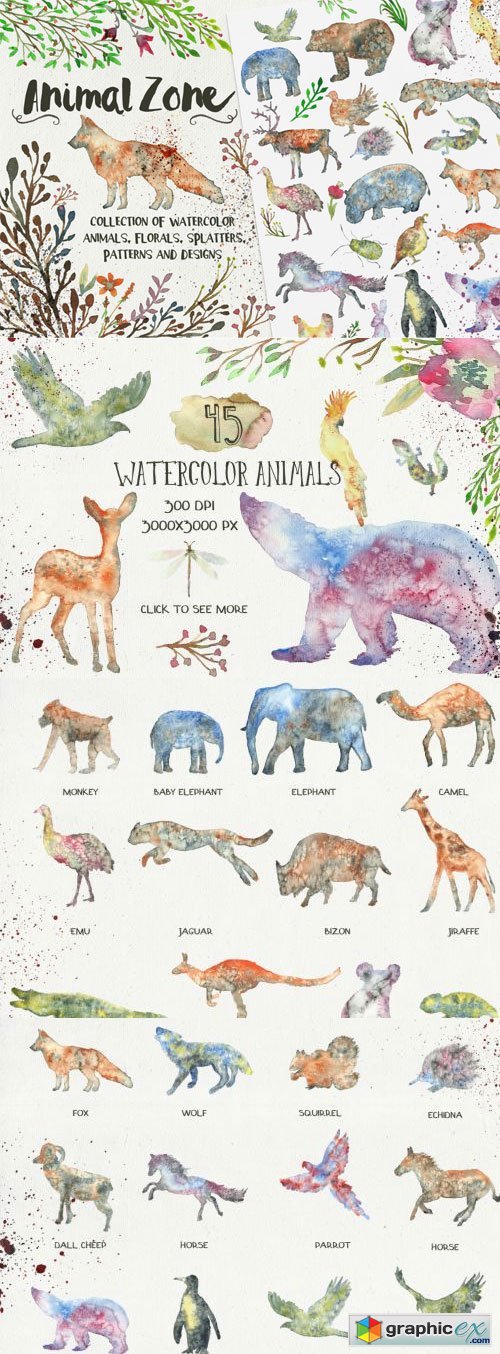 Animal Zone - watercolor animals