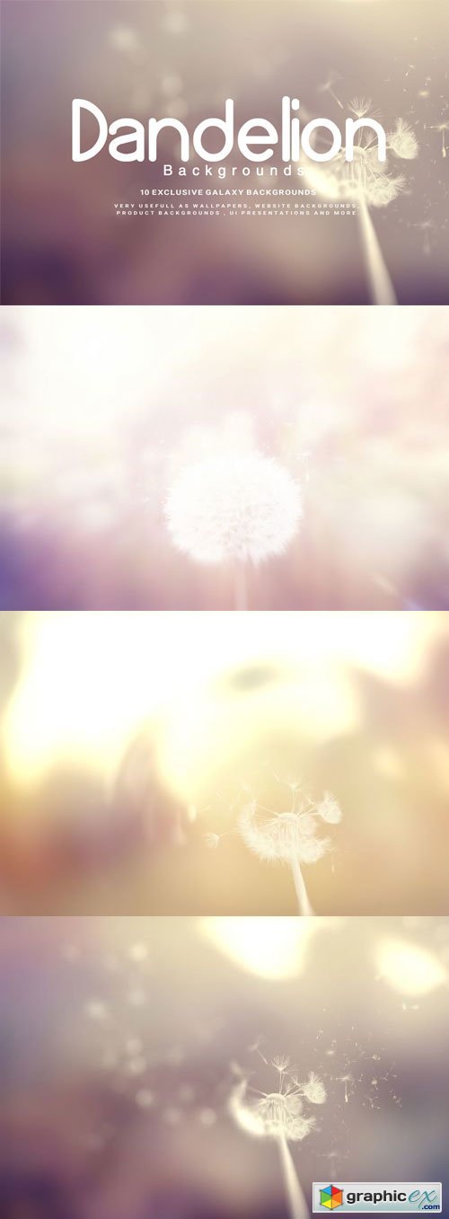 Dandelion Backgrounds