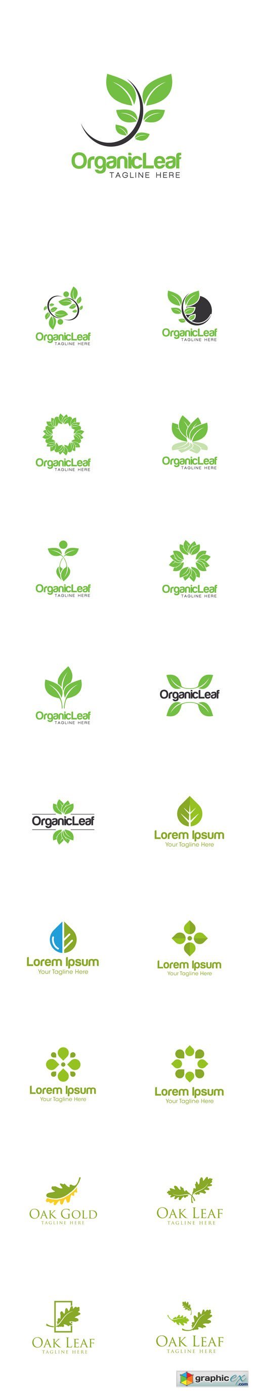 Organic Leaf Creative Logo Design
