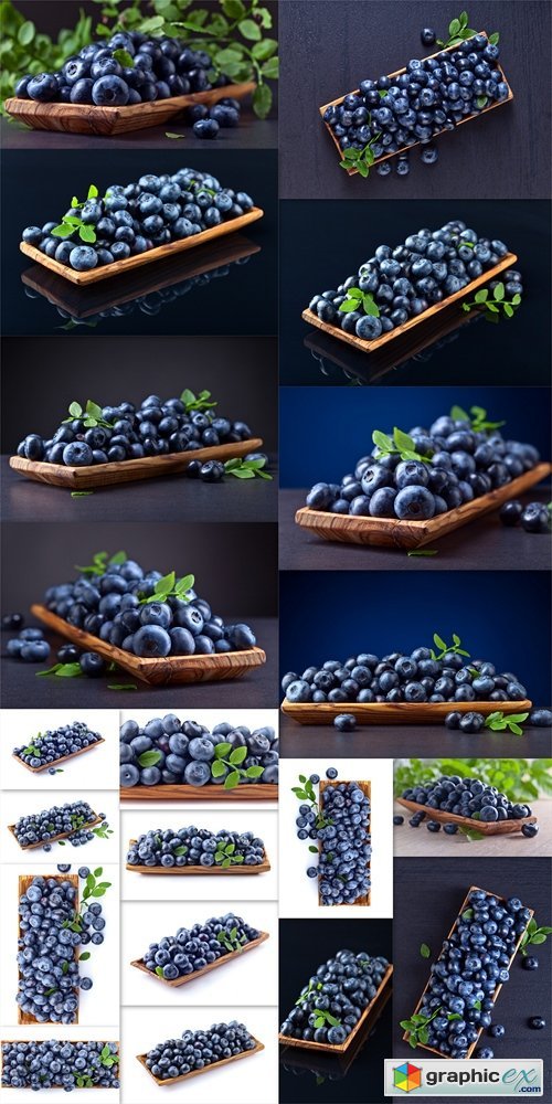 Blueberries on black background