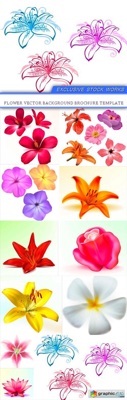 Flower vector background brochure template 11x EPS